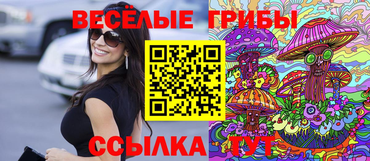 Псилоцибиновые грибы GOLDEN TEACHER  Вход с VPN  магазин продажи   Подольск 